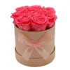 Composizione rosa stabilizzata ceramica