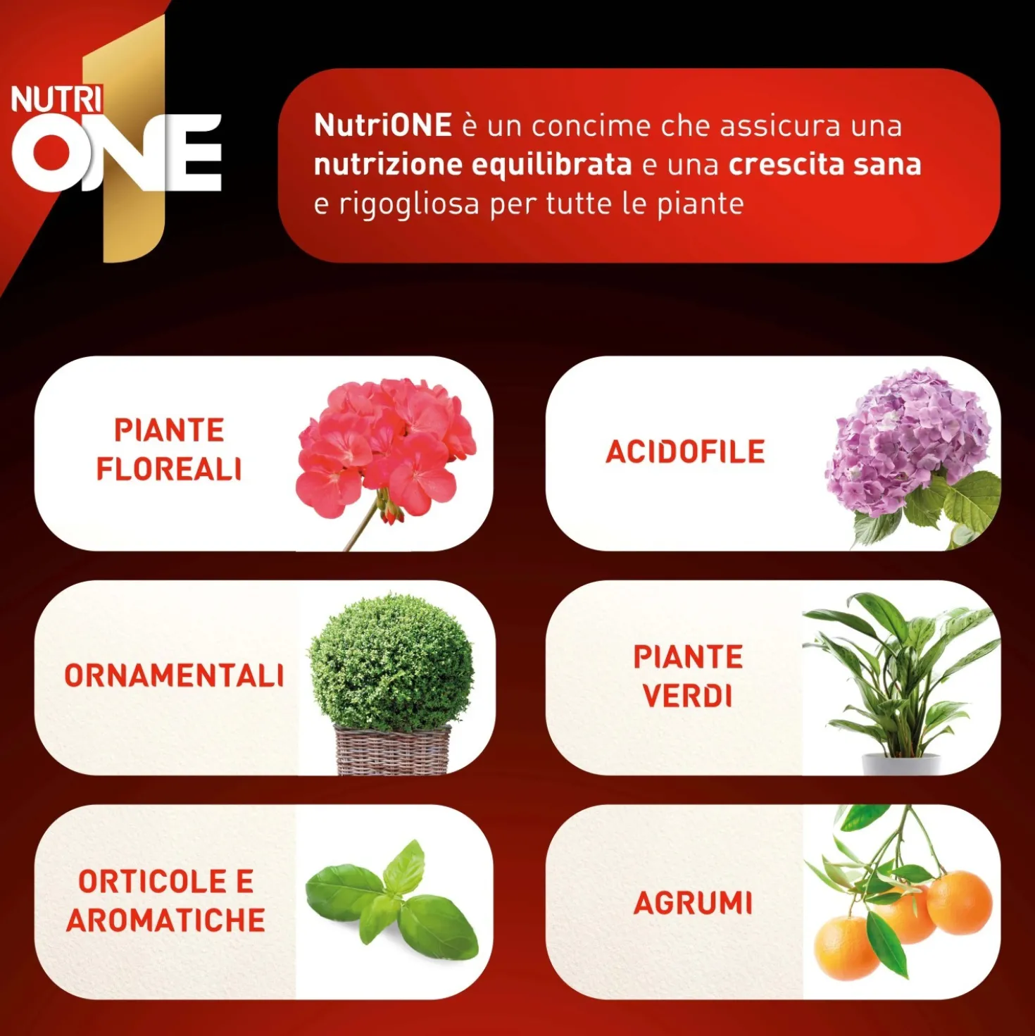 Concime universale NutriONE 1 l