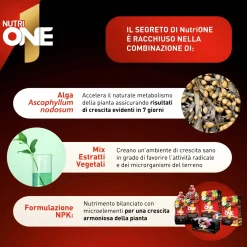 Concime universale NutriONE 1 l