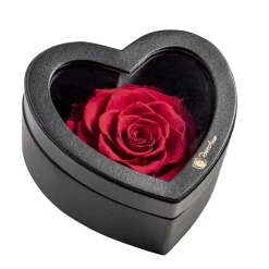 Confezione regalo cuore nero rosa in vaso 12,5 cm