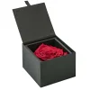 Confezione regalo rosa con vaso nero Ø 10,5 cm