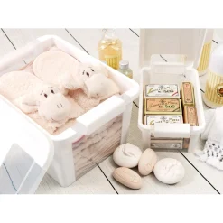 Contenitore in plastica Bi-Box con coperchio L 55x35x28 bianco