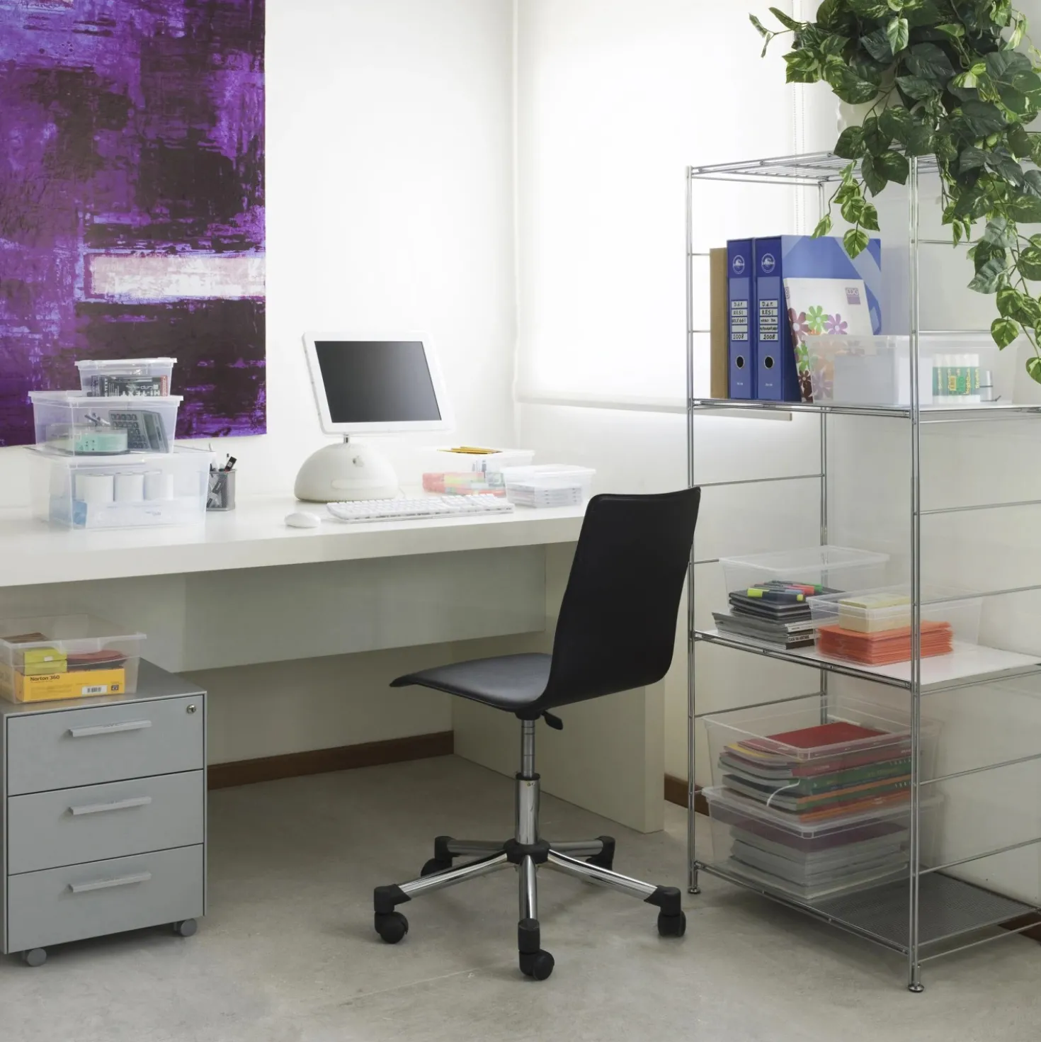 Contenitore in plastica C Box 26x37x14 cm S trasparente