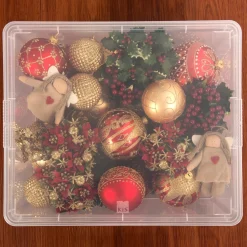 Contenitore in plastica C Box 19x33,5x12 cm XS trasparente
