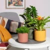 Coprivaso in ceramica Scheurich Cottage Curcuma Ø 12 x H 11 cm