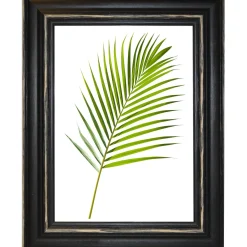 Cornice da muro Randu Nero 30x40 cm