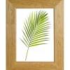 Cornice da muro Warren noce chiaro 18x24 cm