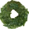 Corona nobilis vaso 30 cm