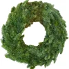 Corona nobilis vaso 50 cm