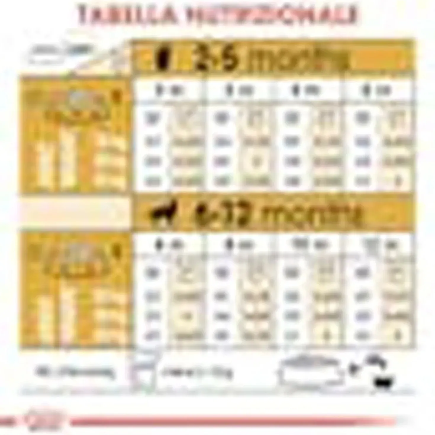 Crocchette per cuccioli Royal Canin Golden Retriever Puppy 3 kg