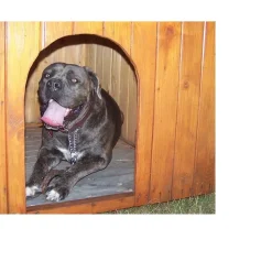 Cuccia per cani in legno tg media 70x106 cm