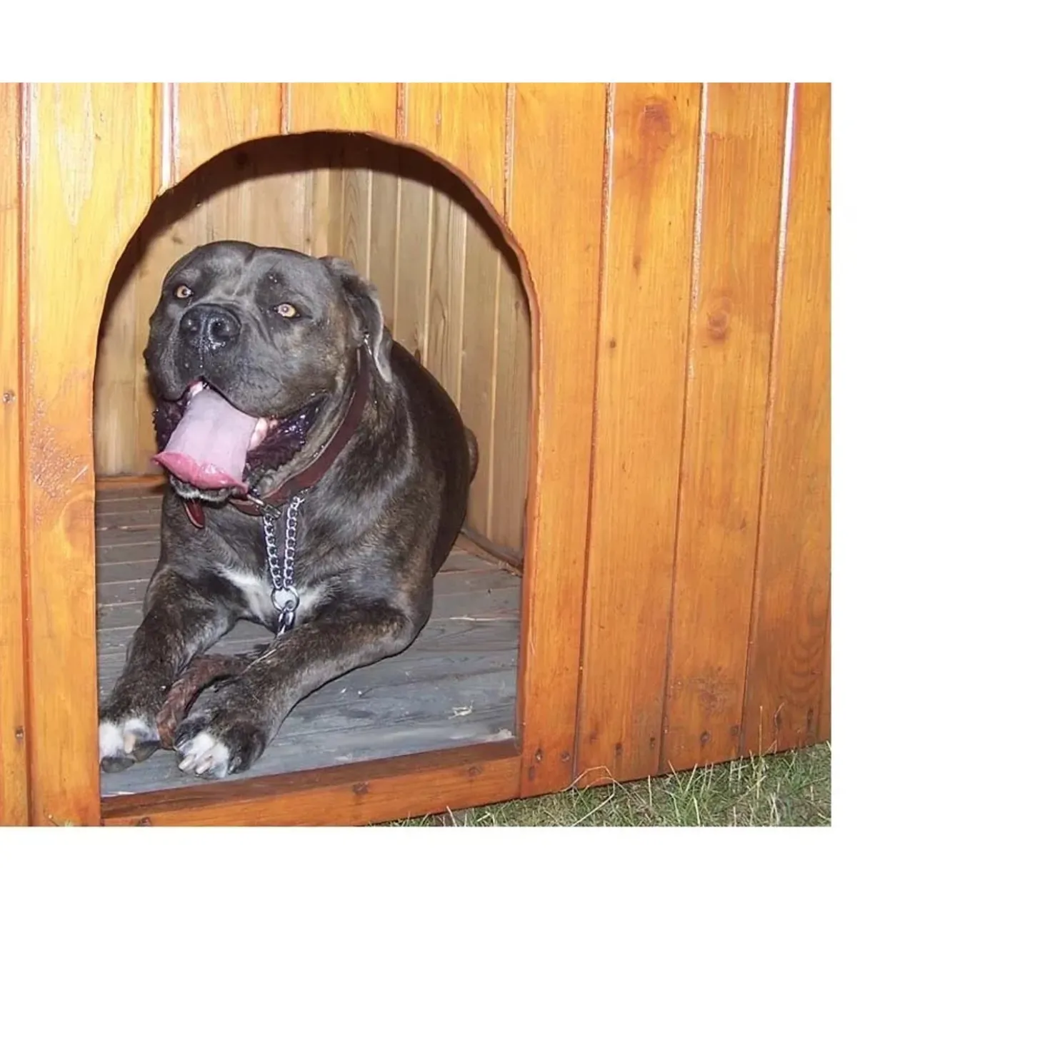 Cuccia per cani in legno tg media 70x106 cm