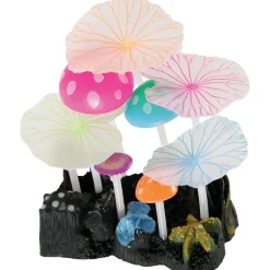Decorazione piante mix 1