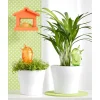 Disseta piante Scheurich Figura d`irrigazione Bördy S 90 ml