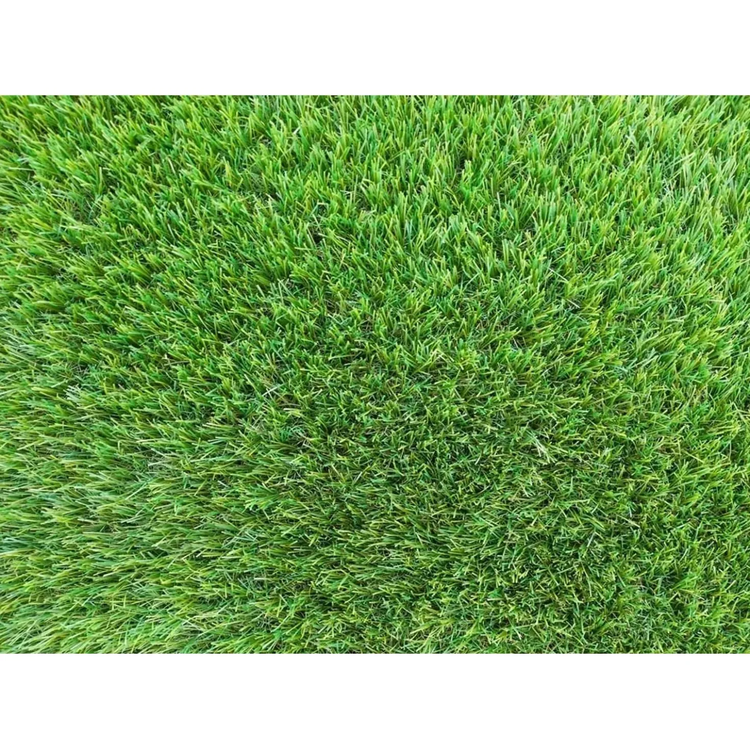 Erba sintetica sp. 35 mm 200x2000x3,7 cm