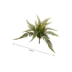 Felce boston 39 cm