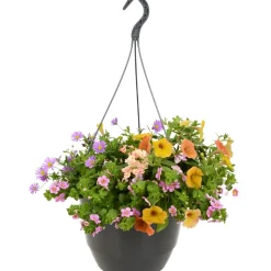 Fiori da appendere mix vaso Ø 27 cm