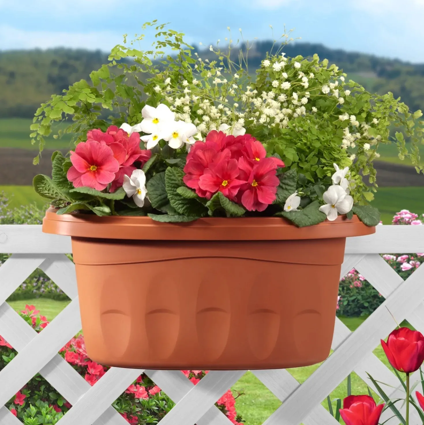 Fioriera da balcone doppia Klunia Bama 40 cm