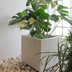 Fioriera da esterno Deroma Cubo Millennium materiale sintetico bianco 25x25 cm