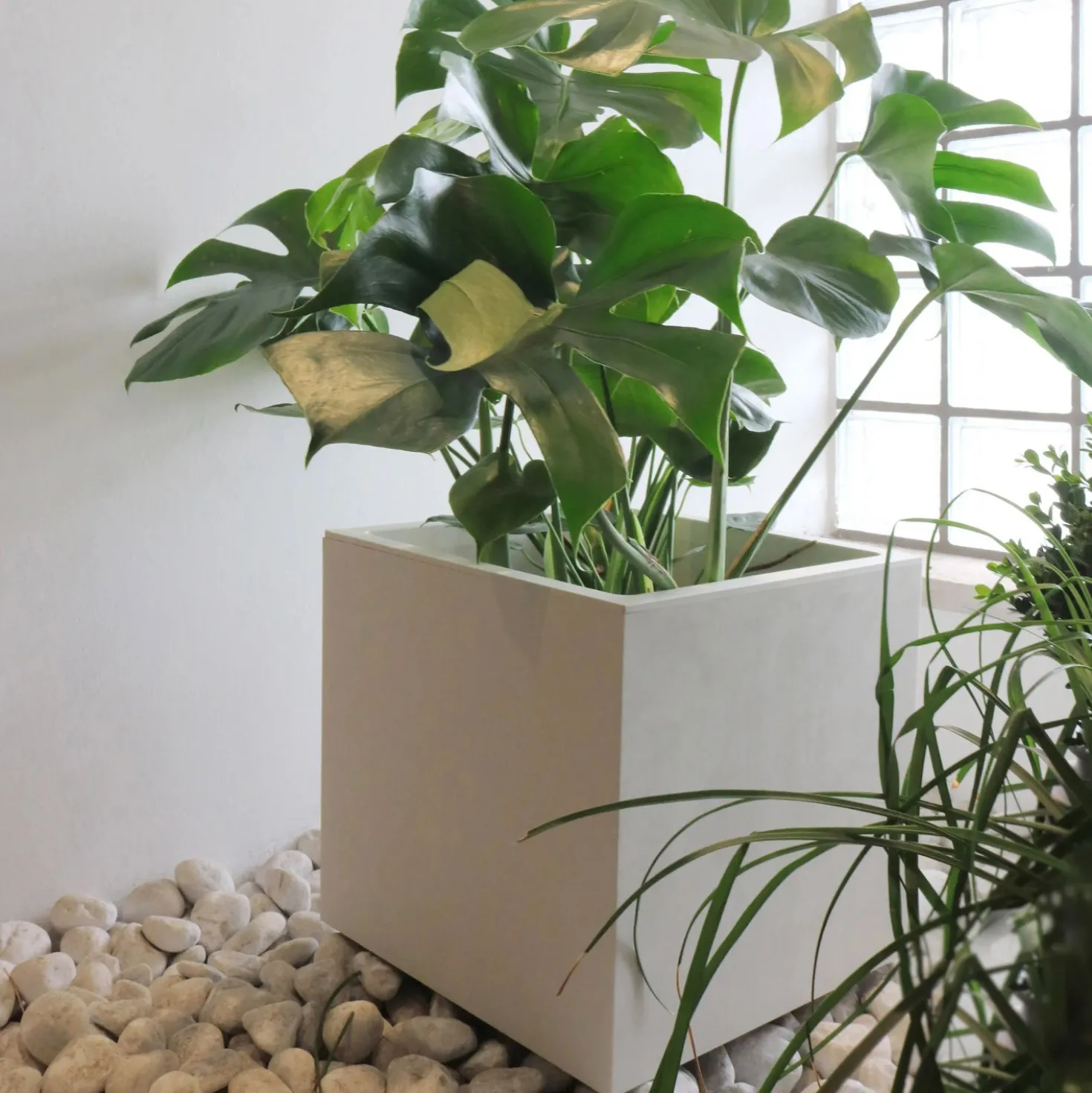Fioriera da esterno Deroma Cubo Millennium in plastica bianco perla 39x39x39 cm