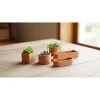 Fioriera da esterno Mignon in terracotta 8x25x6 cm
