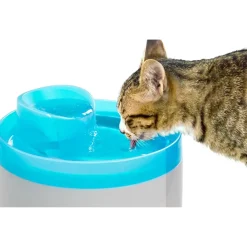 Fontana per gatto