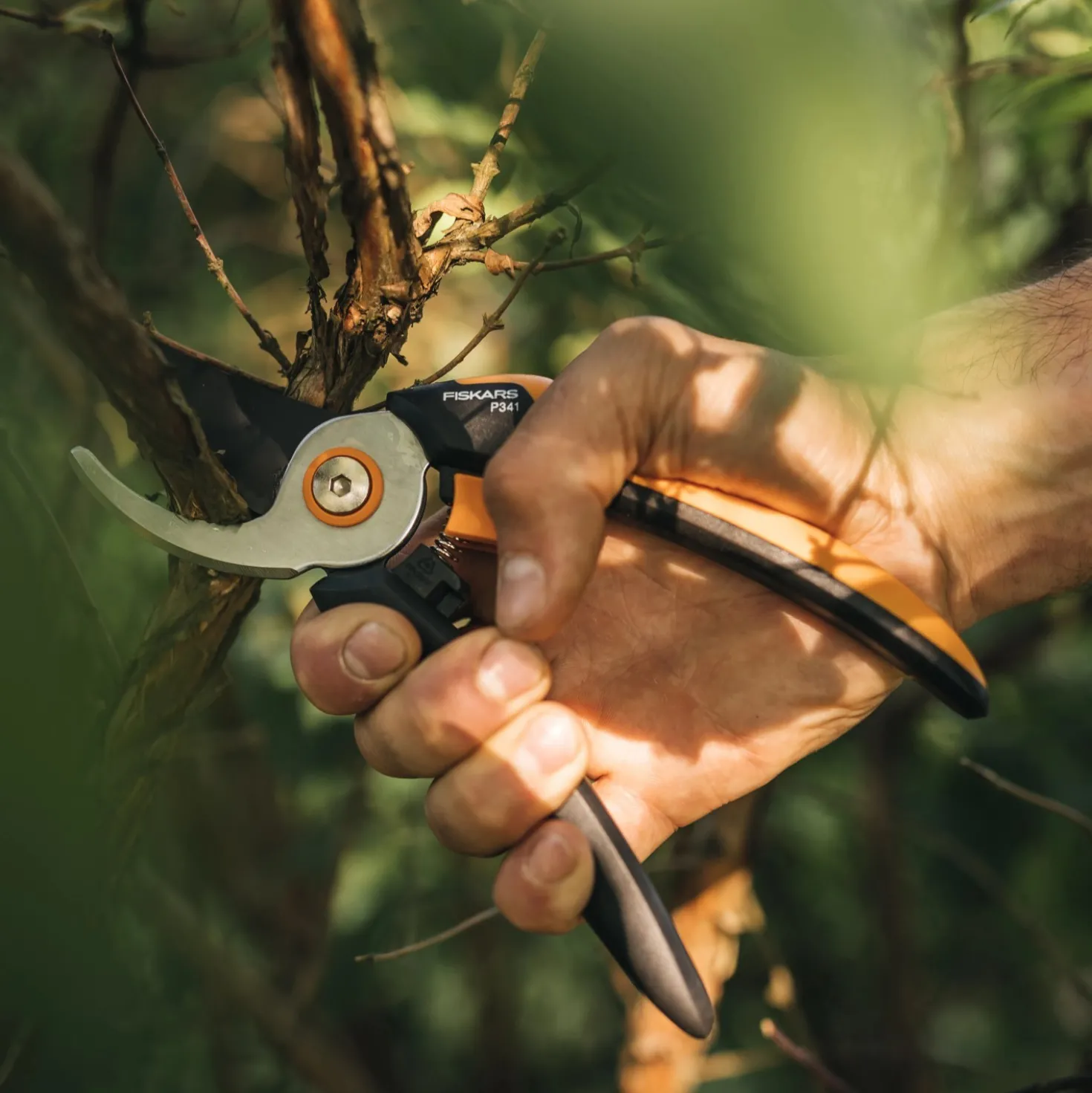Forbici da potatura Fiskars Bypass Solid P341-L