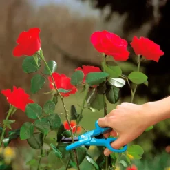 Forbici da presa Gardena per rose