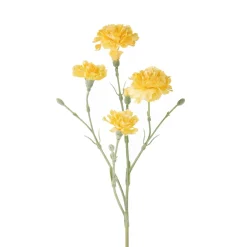 Garofanello 62 cm