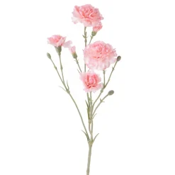 Garofanello 62 cm