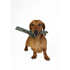 Gioco per cani atossico Tuttomio Mini 8x2,5x25 cm
