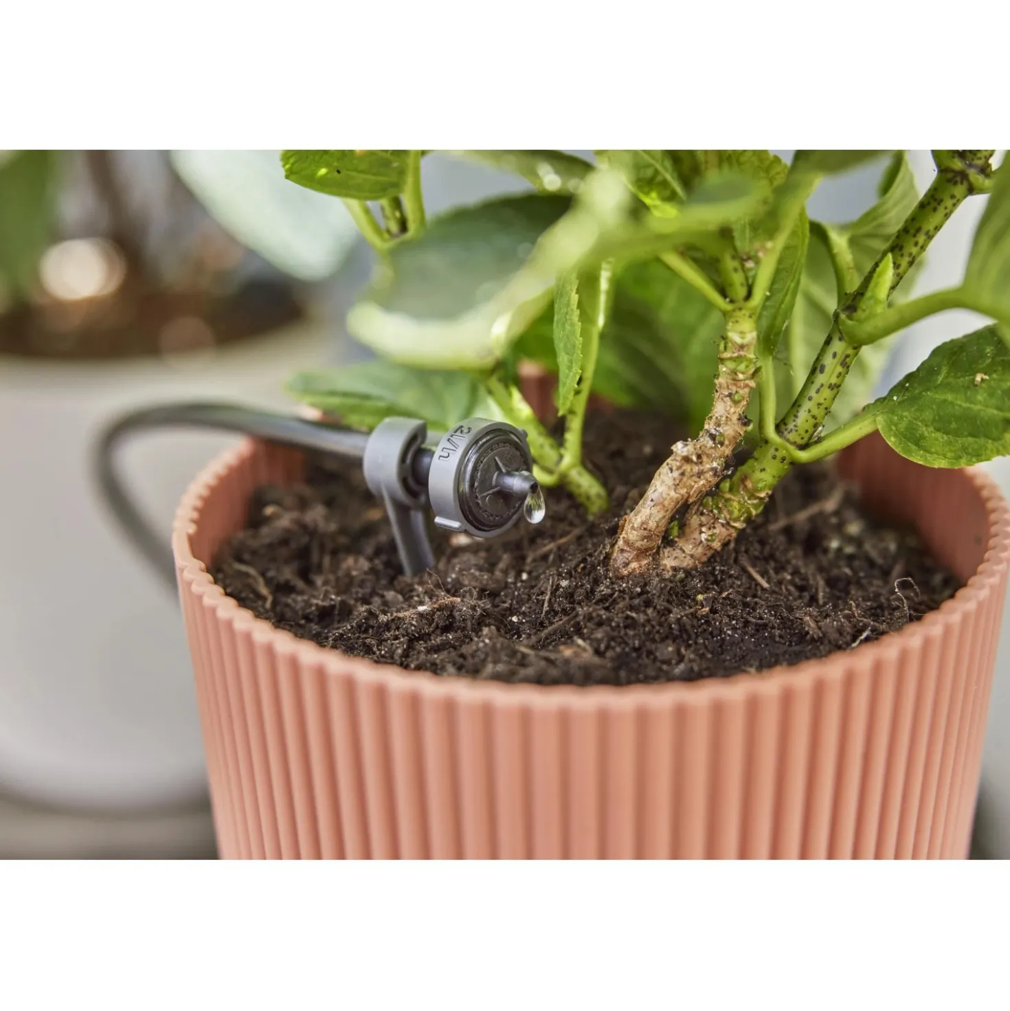 Gocciolatore di fine linea autocompensante Gardena Micro-Drip-System 2 l/h