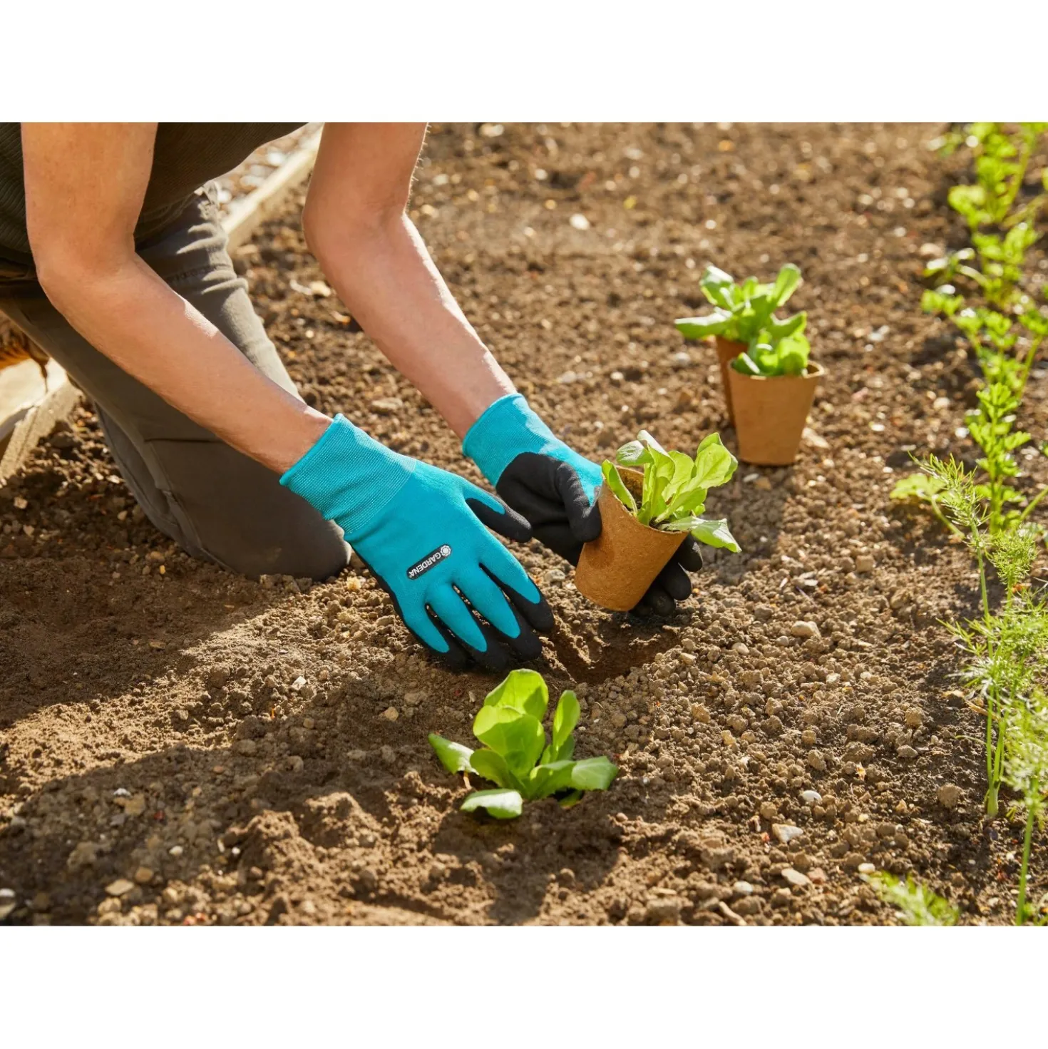 Guanti da giardinaggio Gardena 8 / M