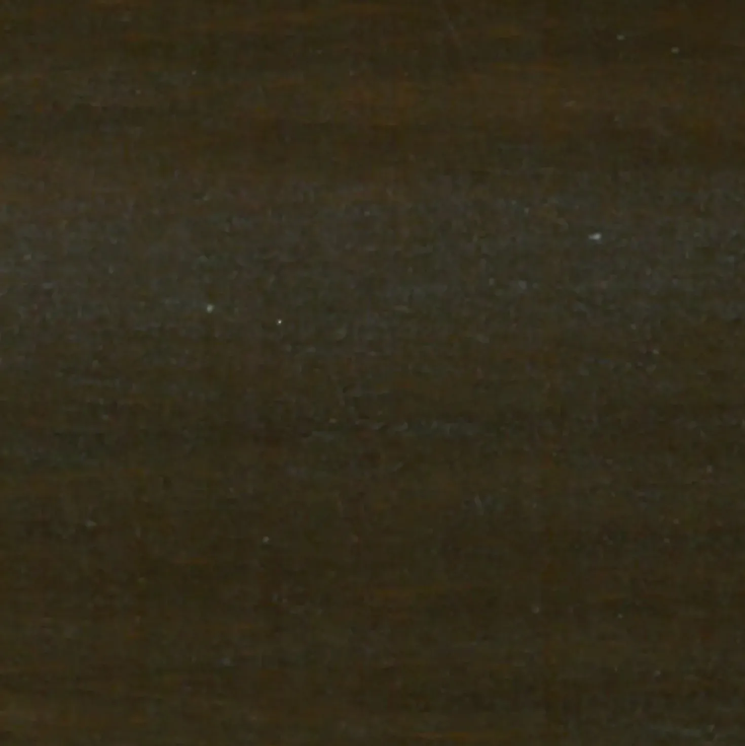 Impregnante per legno ad acqua Syntilor noce scuro 5 l