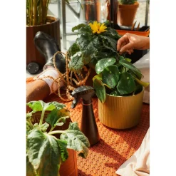 Irroratore per piante Fiskars 0,3 l