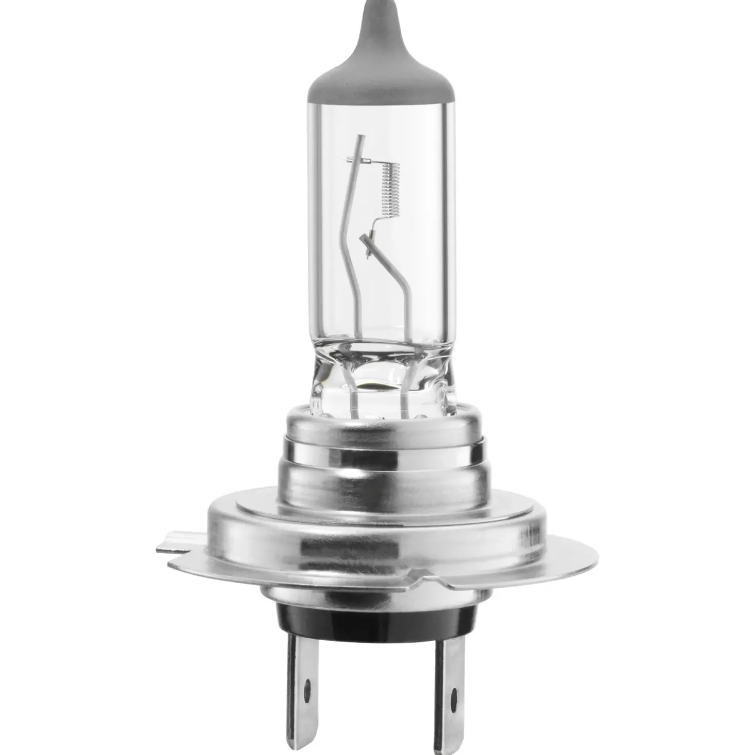 Lampadina Bosch GLL Pure Light H7