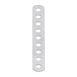 Landa forata acciaio inox 100x14 mm