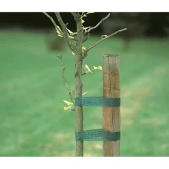 Legaccio per alberi 3 m