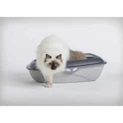 Lettiera gatti aperta con sacco para schizzi Sabbia 60x40x18 cm