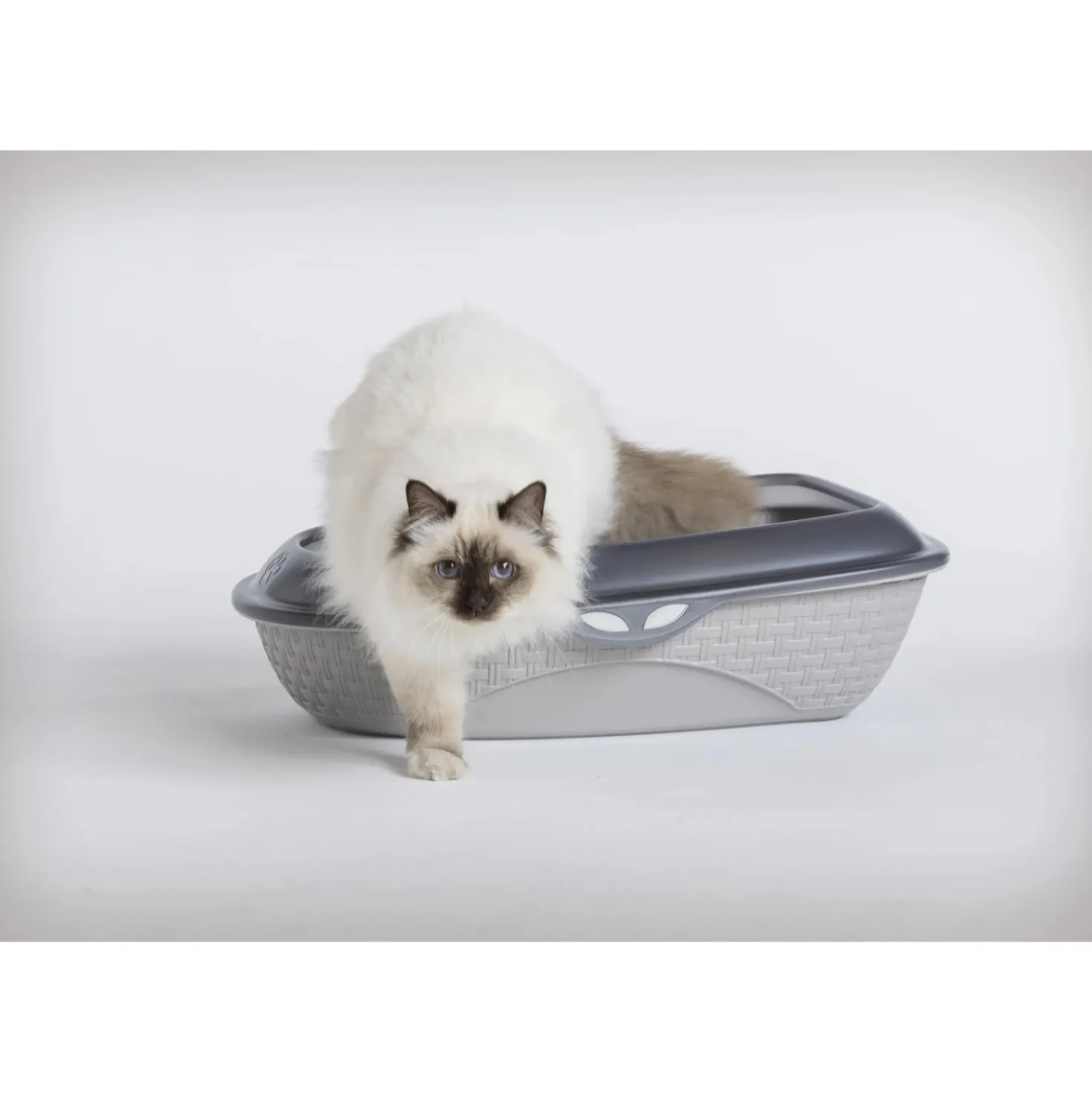 Lettiera gatti aperta con sacco para schizzi Sabbia 60x40x18 cm