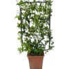 LUX Tassello a espansione Ø 10 mm x 50 mm / 8 pezzi