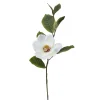 Magnolia 20x16 cm