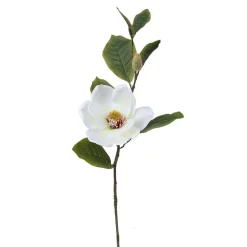 Magnolia 20x16 cm