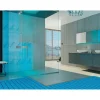 Membrana impermeabile Profoil 1x5 m
