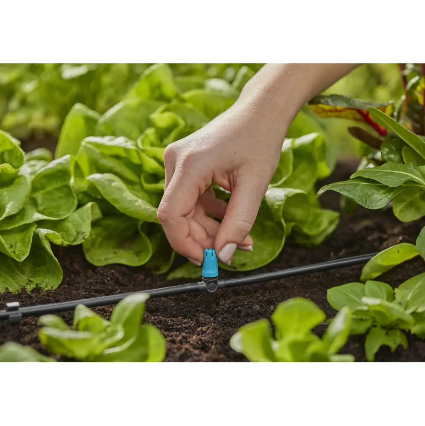 Microzampillo in linea Gardena regolabile per tubi da 4,6 mm Micro-Drip-System