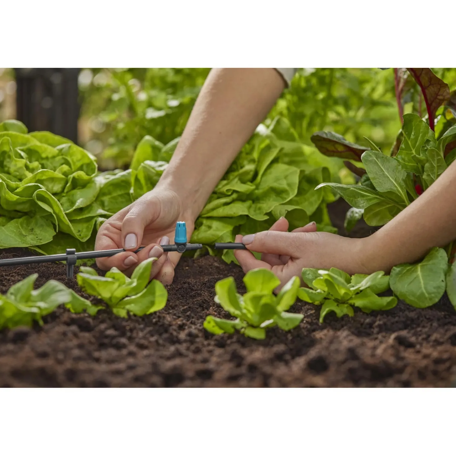 Microzampillo in linea Gardena regolabile per tubi da 4,6 mm Micro-Drip-System