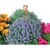 Mix di piante fiorite