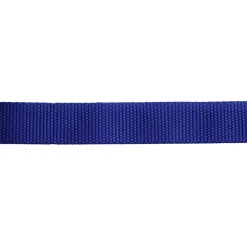 Nastro blu 30 mm 5 m