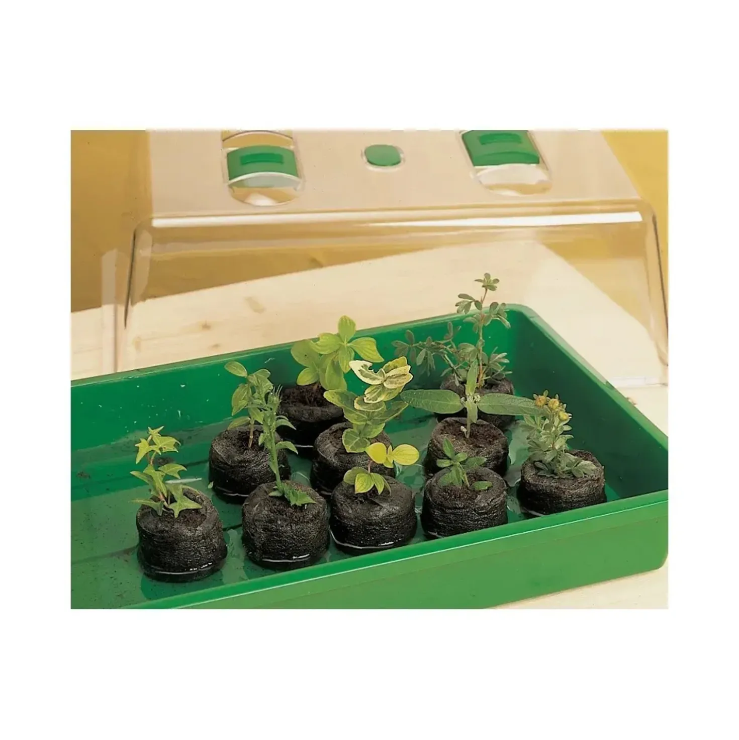 OBI tavolette di coltura Ø 3,5 cm 20 pz