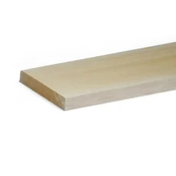 Pannello di ayous per modellismo 1x100x1000 mm